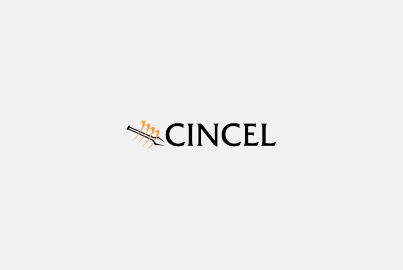 Nueva conformación del directorio de CINCEL